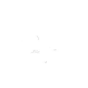 cropped favicon the bull steak expert 1